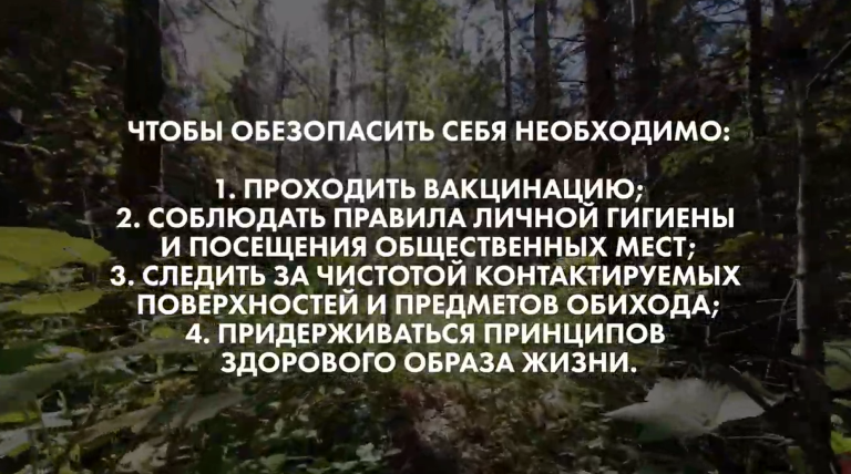  экрана 2026-02-18 173503